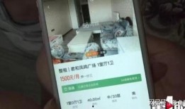 重庆赵女士最新爆料,揭秘事件背后惊人真相