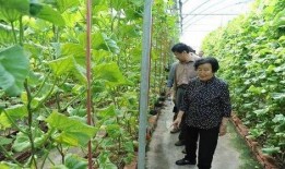 蚌埠吃瓜最新事件爆料是真的吗,最新爆料是否属实？