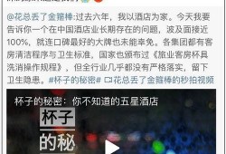 爆料采访视频大全集最新,热点事件背后的真相与内幕