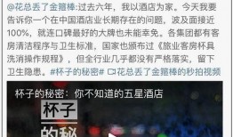 爆料采访视频大全集最新,热点事件背后的真相与内幕