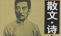 鲁迅爆料文章大全最新版,揭秘文坛风云，探寻大师内心世界